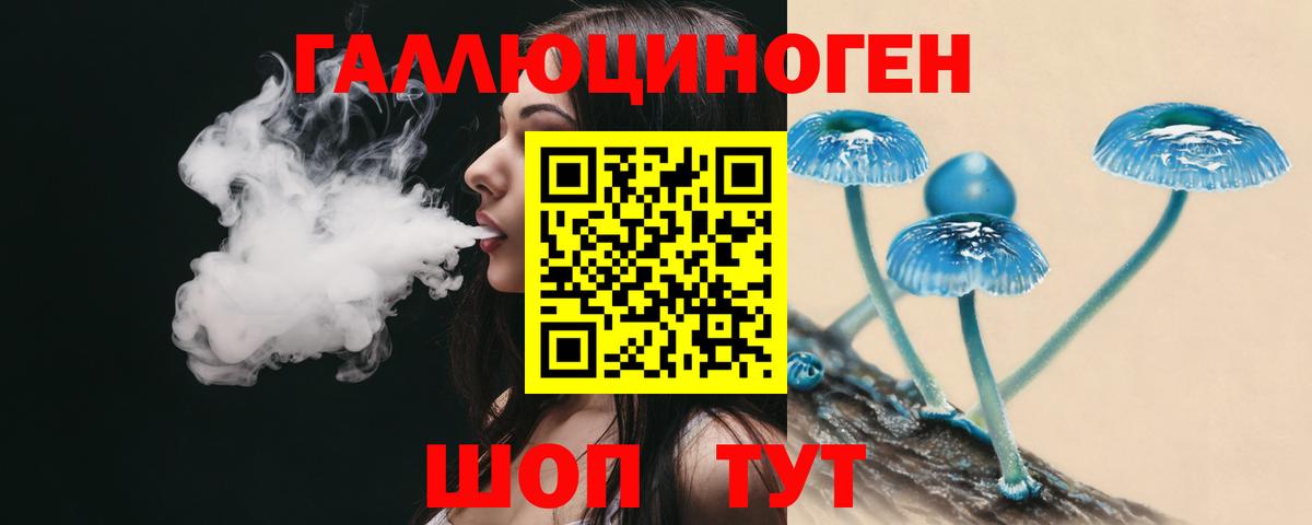 Псилоцибиновые грибы Psilocybine cubensis Тосно